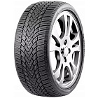 Roadmarch WinterXPro 888 255/40 R19 100H XL